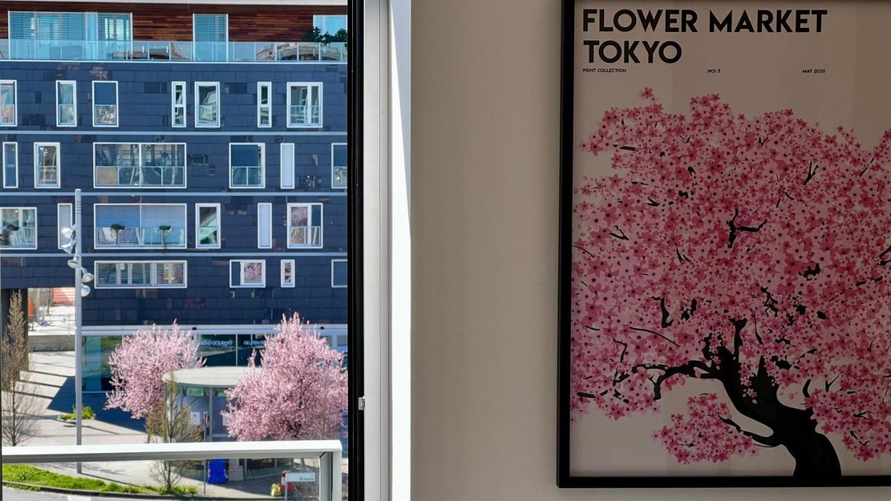 Apartemen Open Space, E Luminoso, In Classe A *